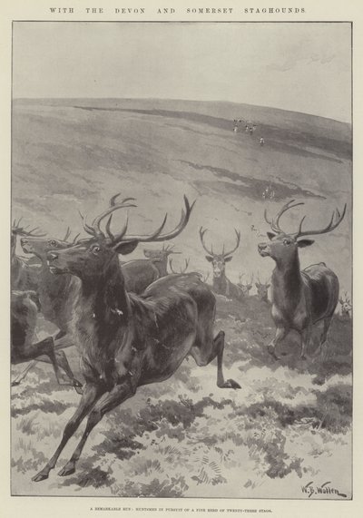 デボンとサマセットスタハウンドとともに 作： William Barnes Wollen